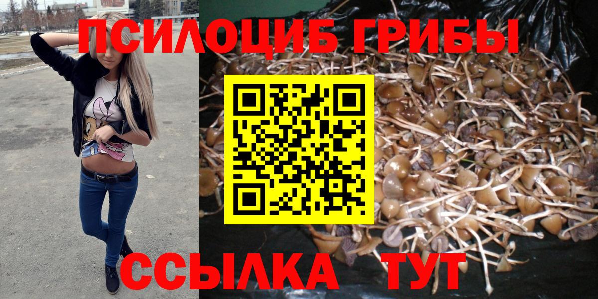 Галлюциногенные грибы мицелий Славянск-на-Кубани
