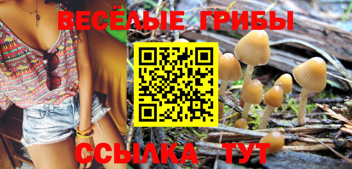 Славянск-на-Кубани  Галлюциногенные грибы GOLDEN TEACHER  Вход с VPN 